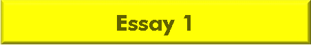 Essay 1