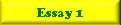 Essay 1